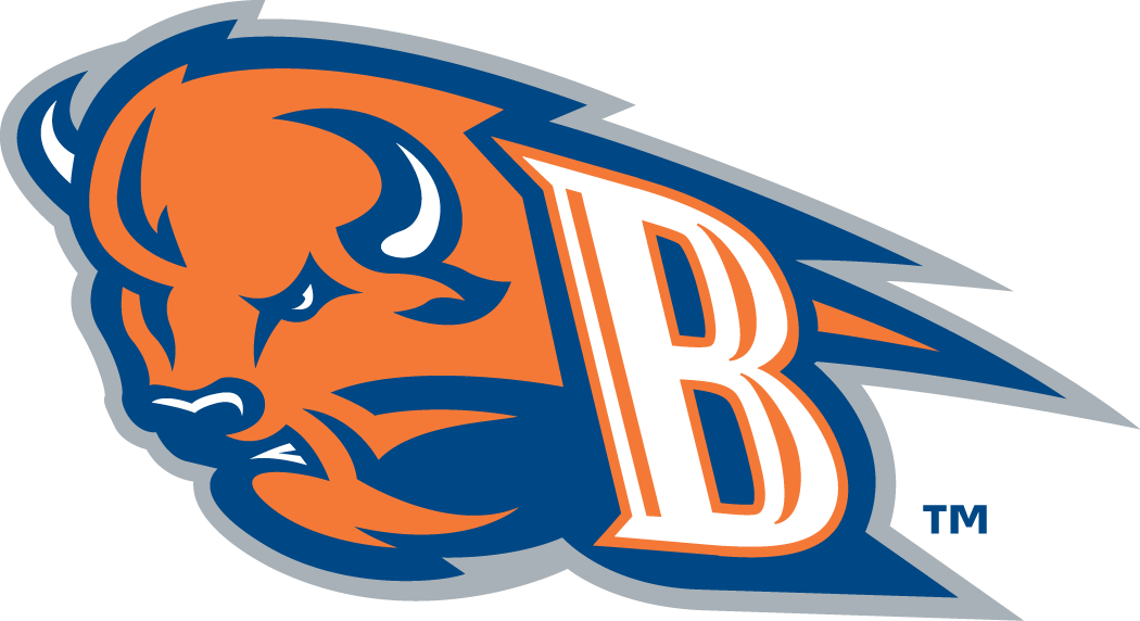 Bucknell Bison 2002-Pres Alternate Logo iron on transfers for fabric